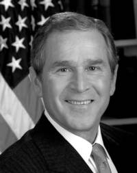 Bush