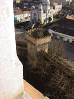 Cetatea Medievală Aiud