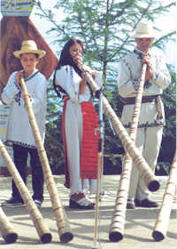 tulnicari