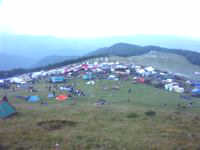 Găina